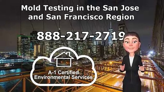 Mold Testing Los Altos Hills