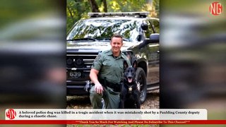 Verro, A Beloved Police Dog Killed By Police