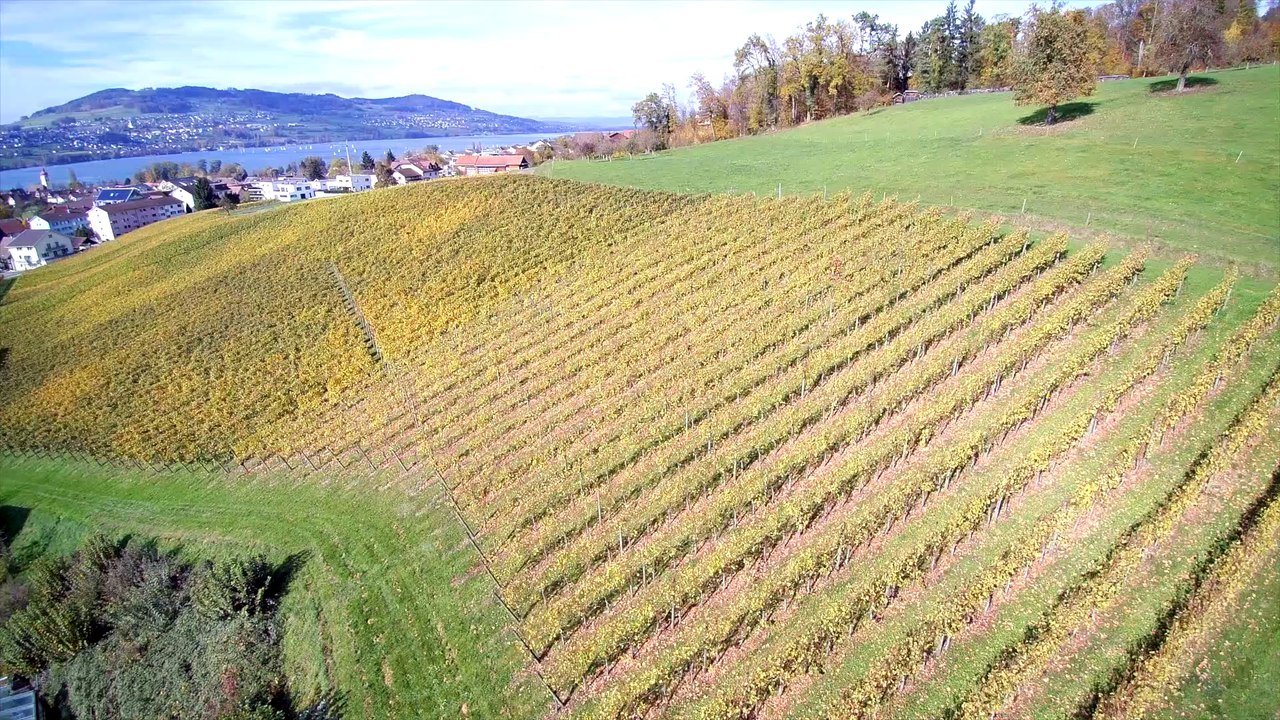 Weingut Klosterhof, Kurt & Verena Huwiler, 6287 Aesch LU / Video Drohnenaufnahme vom Hallwilersee mit einer DJI Phantom Drohne