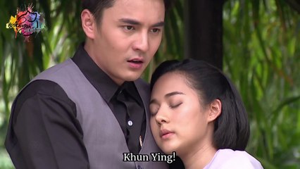 Always Grumpy Cat Videos Dailymotion