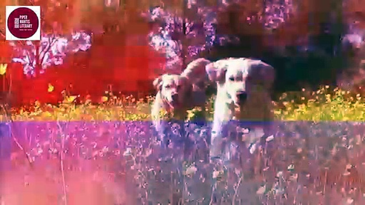 John Orlandini Attends the La Jolla International Fashion Film Festival - Piper Mantis Literary