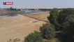 Sécheresse : la Loire a atteint son niveau le plus bas, avec un mois d'avance