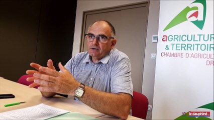NORD-DRÔME : Une cagnotte pilotée par la Chambre d’agriculture pour les exploitants touchés par la grêle