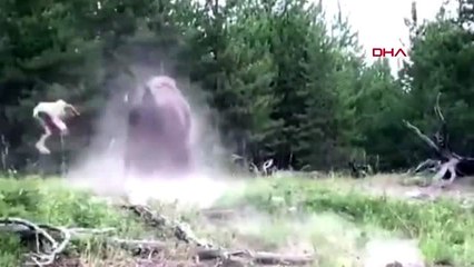 DHA DIŞ- Bizon küçük çocuğa saldırdı