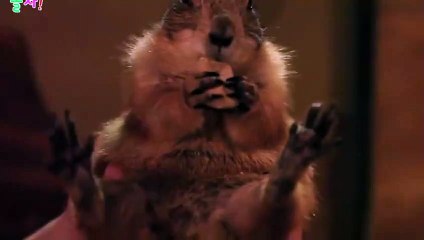 성북출장안마 -후불100%ョØ1ØA7685A6221｛카톡PP888｝ 성북전지역출장안마 성북오피걸 성북출장마사지 성북안마 성북출장마사지 성북콜걸샵いぅう