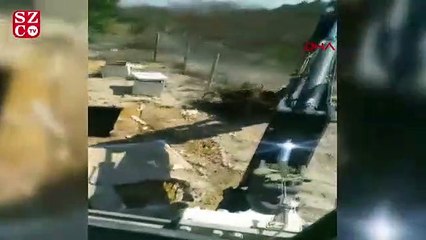 Foseptiğe düşen ayı kurtarıldı