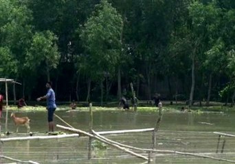 Bangladeş'de selde 61 kişi hayatını kaybetti