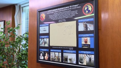 Ray Donovan, el jefe de la DEA obsesionado con capturar al Chapo Guzmán