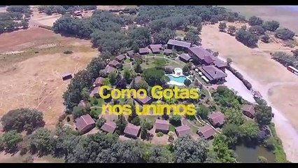 Blob PoolParty 2019 - Candeleda - Mirlo Blanco 26 y 27 de Julio