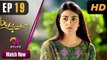 Mere Bewafa - Episode 19 - Aplus Dramas - Agha Ali, Sarah Khan, Zhalay - Pakistani Drama
