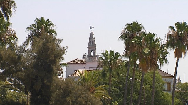 Hasta 39 provincias tendrán el miércoles avisos por altas temperaturas