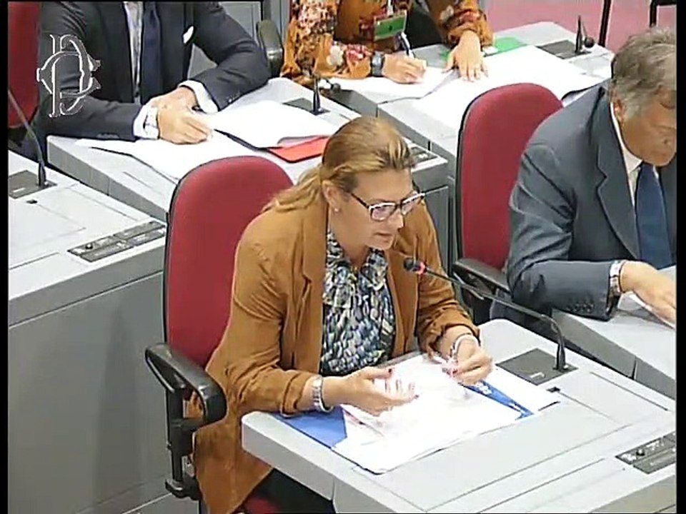 Roma - Steward negli impianti sportivi, audizio...