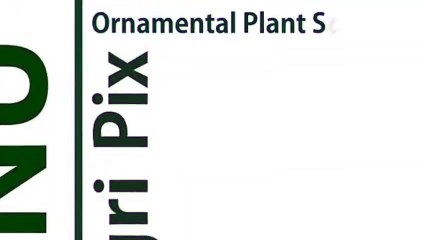 진안출장타이070c5180c1620｛카톡XI74｝ぱ진안출장안@마ぱ진안출장샵ぱ진안출장맛사지 ぱ진안출장걸썰 진안출장걸가격 진안출장러시아 진안외국인후불출장업소 진안24시출장마사지샵'예약ヱヲン