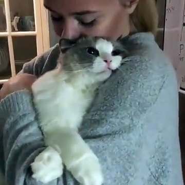 Cette petite fille et son chat adorent se faire des câlins. Trop chou !