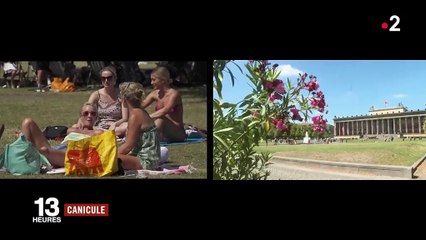 Canicule : les grandes capitales européennes suffoquent