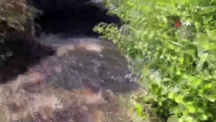 Mezarlıkta çıkan yangın korkuttu