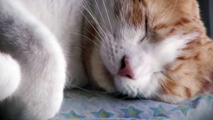 영암출장타이OiOs2671s8135｛카톡LA369｝ぱ영암출장안@마ぱ영암출장샵ぱ영암출장맛사지 ぱ영암출장걸썰 영암출장걸가격 영암출장러시아 영암외국인후불출장업소 영암24시출장마사지샵'예약プポマ