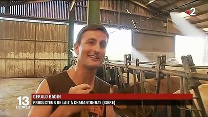 Pendant la canicule, les animaux aussi doivent être préservés de la chaleur