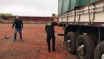 Foz do Iguaçu: Polícia Federal apreende carga de maconha em caminhão