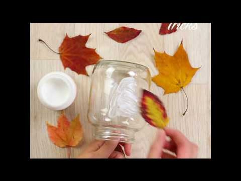 Dank einiger Herbstblätter wird es auch zu dieser Jahreszeit zuhause so richtig gemütlich!