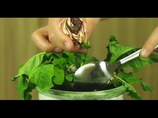 Mit 3 Küchenabfällen rettest du deine Pflanzen - diese natürliche Lösung spart Geld und Müll!