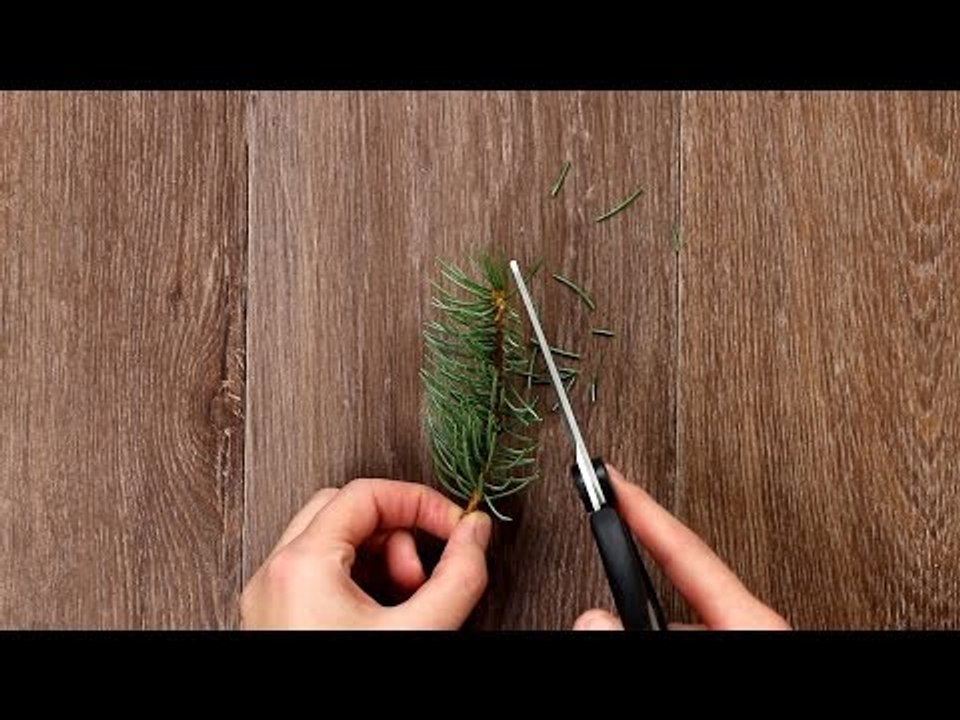Weihnachtsbaum im Glas als DIY Weihnachts Deko