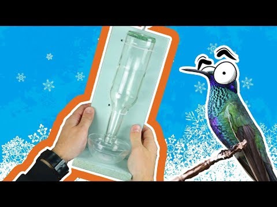 Vogel Futter Haus selber bauen - Anleitung für einen Futter Spender für Wildvögel