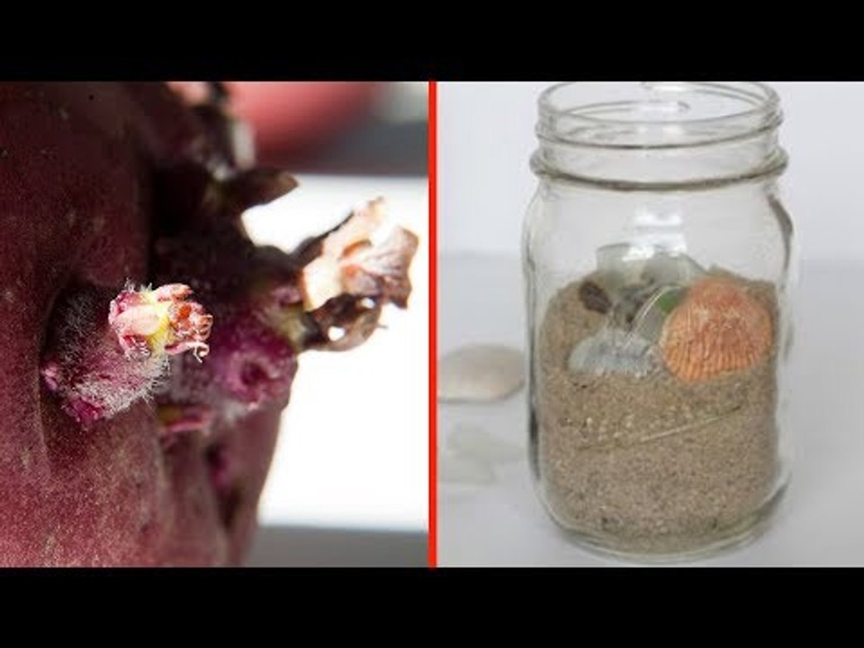 Bring diese 10 Souvenirs niemals aus dem Urlaub mit!