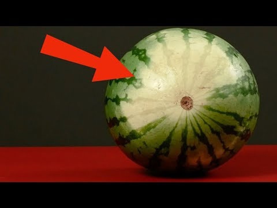 Achte genau auf den weißen Fleck an der Melone. Was du dadurch erfährst, ist großartig!
