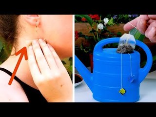 Schmeiß nie wieder alte Teebeutel weg! Sie helfen perfekt im Haushalt!