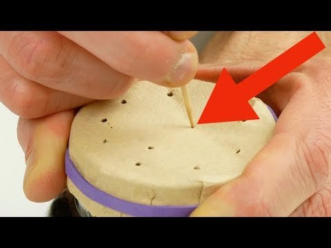 Mit diesen 8 Tipps wird dein Garten zum Hit. Für Nr. 4 brauchst du 3 Zahnstocher.