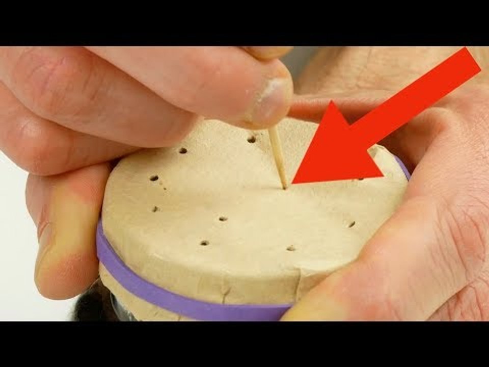 Mit diesen 8 Tipps wird dein Garten zum Hit. Für Nr. 4 brauchst du 3 Zahnstocher.