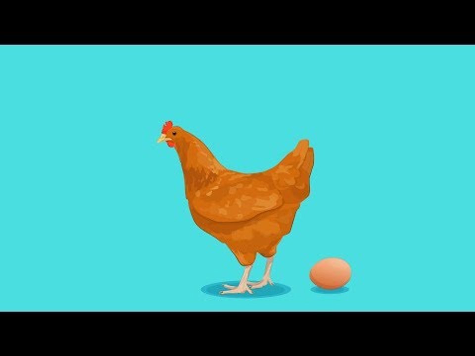 9 gute Gründe, täglich 2 Eier zu essen.