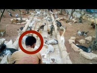 Mann entdeckt in Geisterstadt ein Problem, um das sich niemand kümmert.