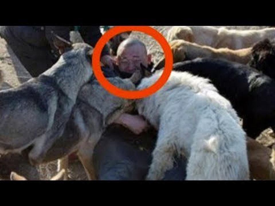 Mann sucht geliebten Hund im Schlachthaus. Was er dort...