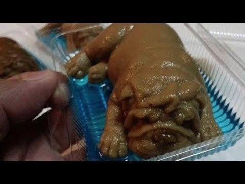 Wetten, dass du diese 15 Dinge nicht wusstest? Nr. 12 ist kaum zu glauben.