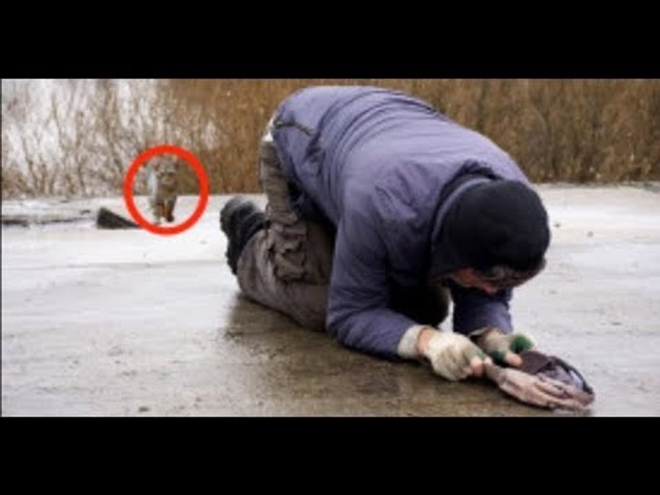 Der Mann ist völlig fertig, doch was die Katze macht, verändert sein Leben völlig.