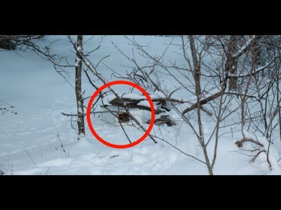 Ein Wimmern ertönt aus der schneebedeckten Schachtel. Beim Näherkommen wird dem Vater ganz anders.