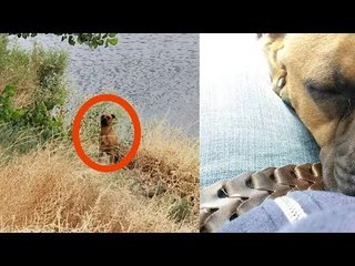 Beim Angeln sieht das Paar dieses Tier. Als es näherko...