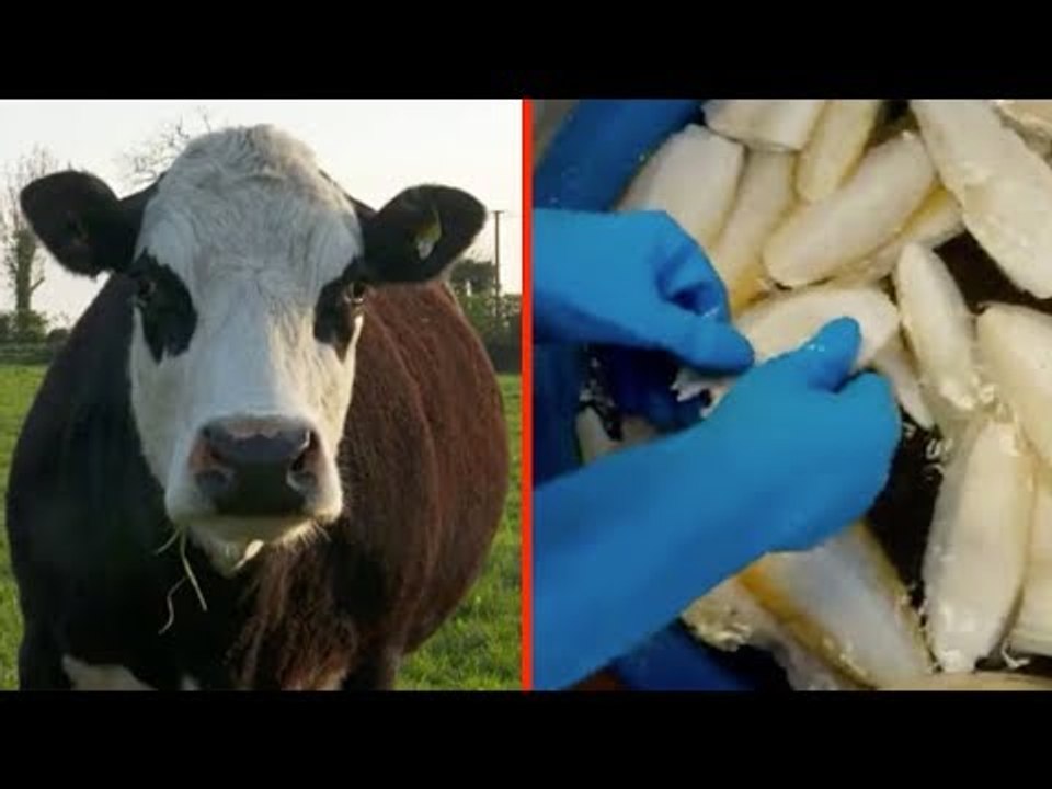 7 vegane Dinge, die gar nicht vegan sind. Nr. 3 ist ein Schock!