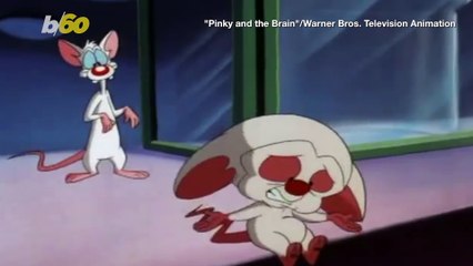 The Difficulties That Come with Being Really, Really Smart