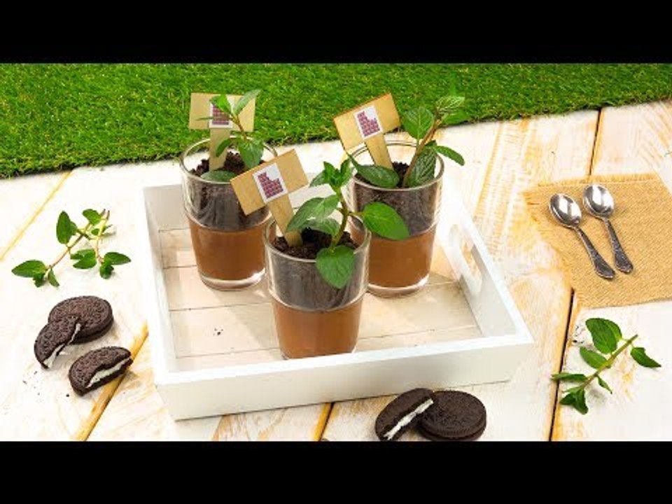 Für Naschkatzen und Pflanzenfreunde: die Schoko-Mousse-Blumentöpfchen.