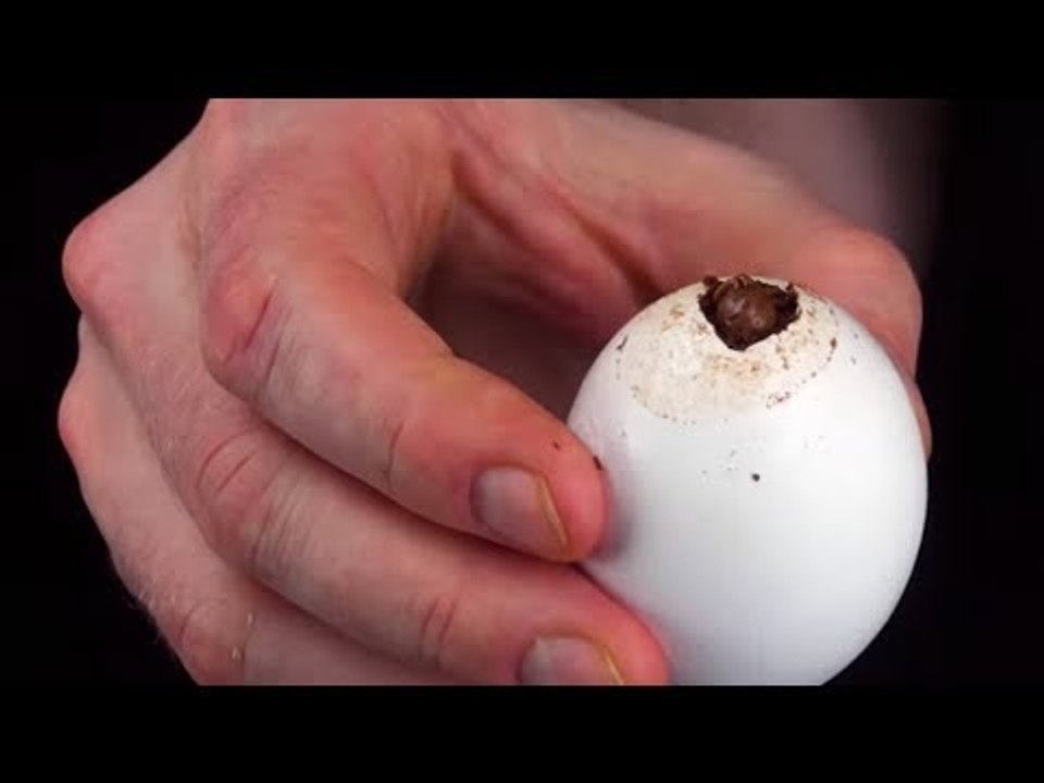 Wie zum Geier macht man SO ein Ei? Der Trick ist ein Knaller.