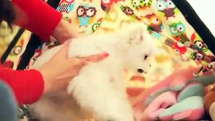 삼척출장안마 -후불100%ョOiOE7362E3210｛카톡BB5858｝ 삼척전지역출장안마 삼척오피걸 삼척출장마사지 삼척안마 삼척출장마사지 삼척콜걸샵ヮワヰ