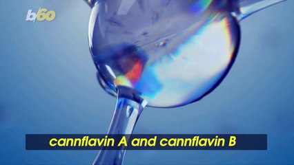 Scientists Discover First Step to Synthesizing the Painkilling Properties of Cannabis