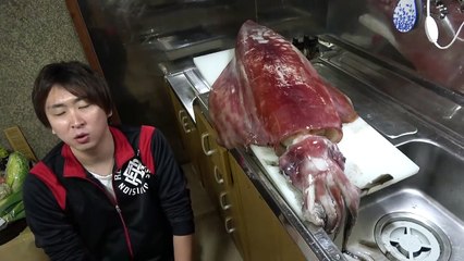 【ノーカット】巨大イカのさばきかた でかい こわい 【タルイカのさばきかた】Gigantic squid 巨大的鱿鱼