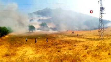 Mazıdağı'nda 2 farklı noktada yangın