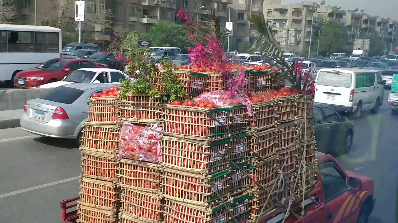 Egypte sur le périphérique 1