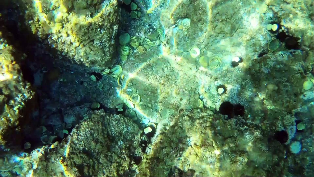 LE CAP D'AGDE - A la découverte du sentier sous-marin