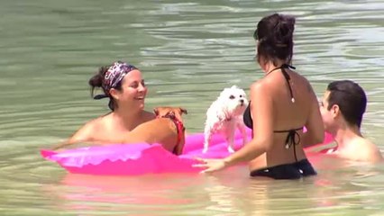 La ola de calor mantiene a 36 provincias en avisos por alta temperaturas